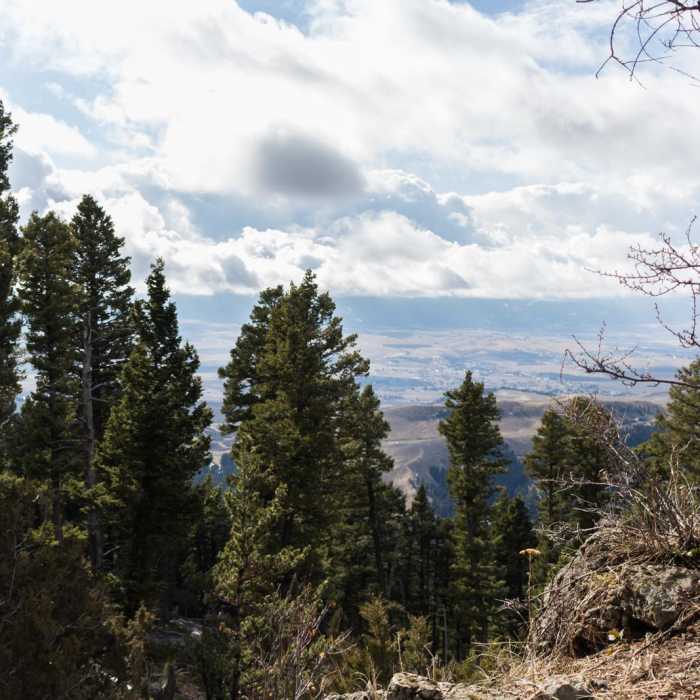 Near Baldy Mountain Near Baldy Mountain