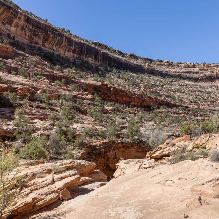 Near Trail Canyon