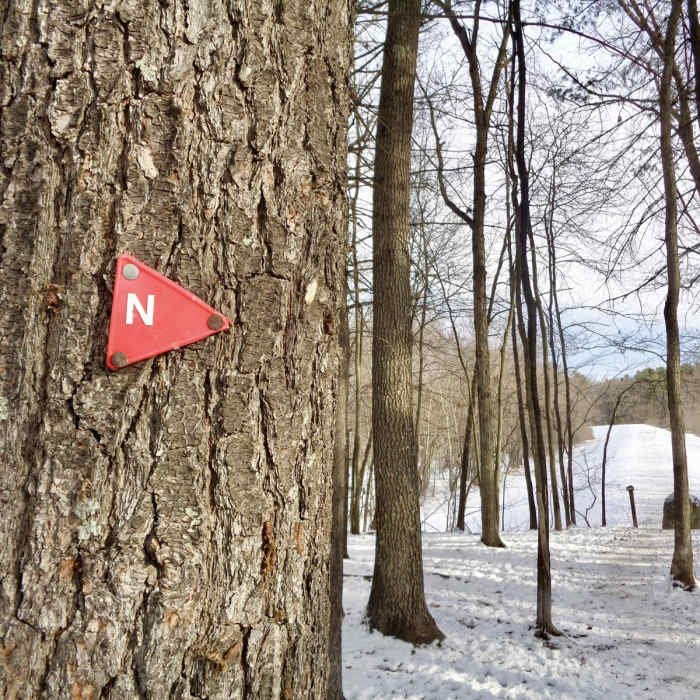 Near Cold Harbor Trail