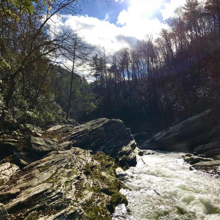 Near Linville Gorge Trail