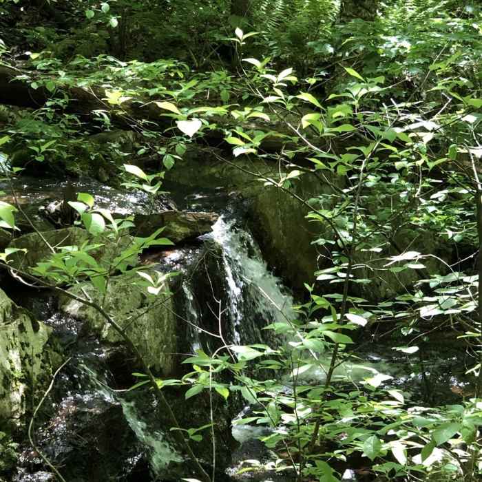 Many creeks and water sources Near Stony Lake to Sunrise Mountain