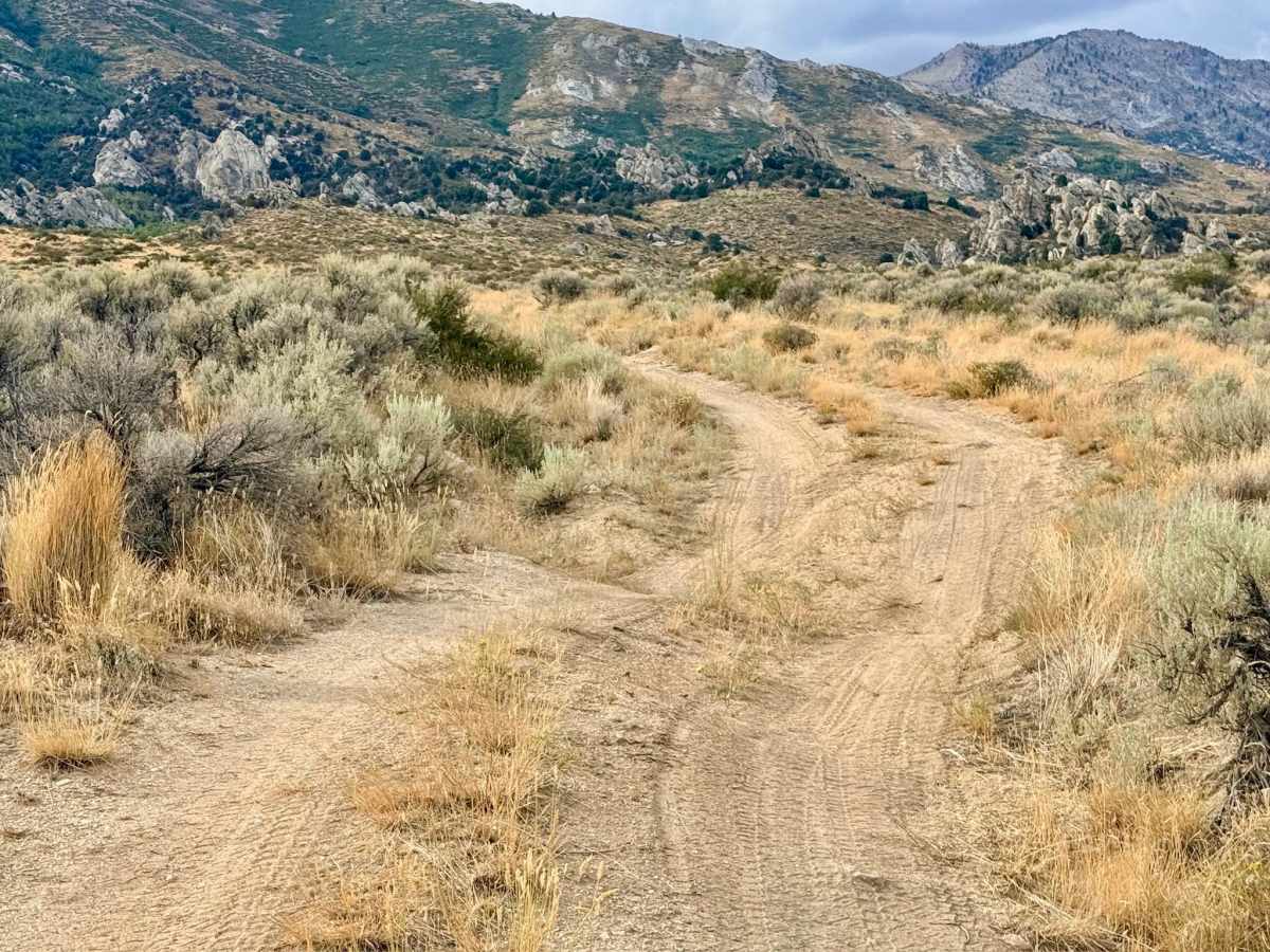 Tipton Canyon - FS 57831 photo 6