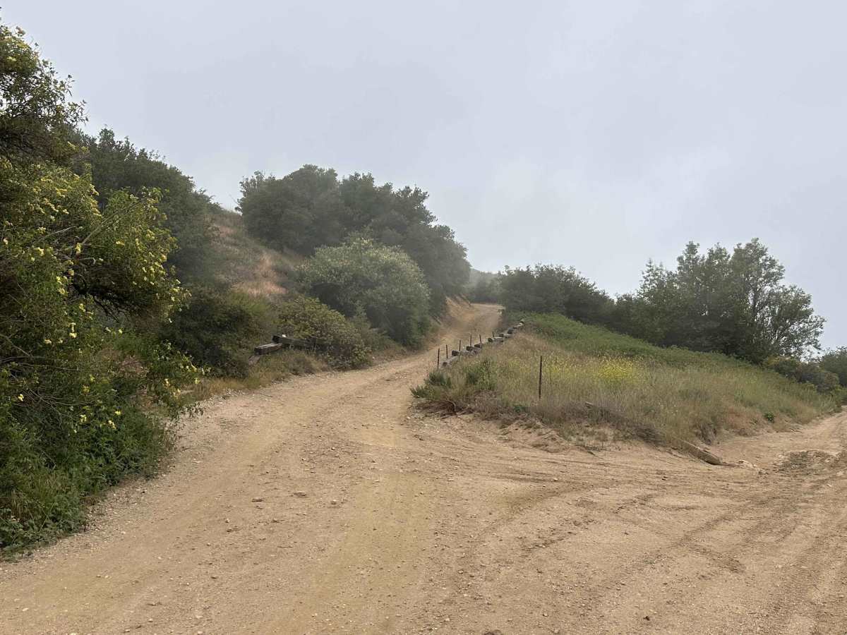 Marshall Peak Summit trail photo