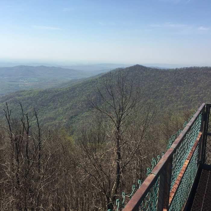 View from Lookout tower Near North & South Old Mac Trail