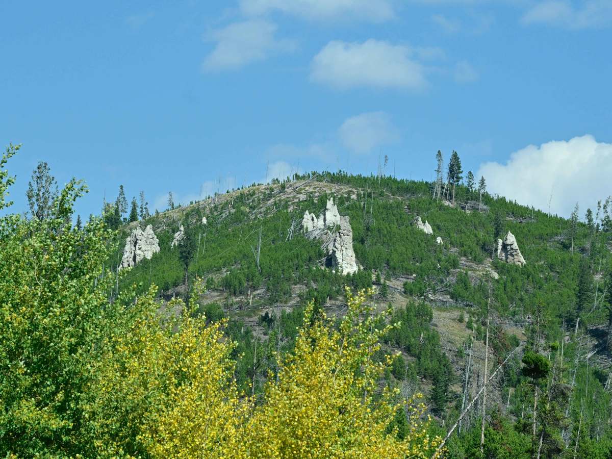 Indian Meadows photo 5
