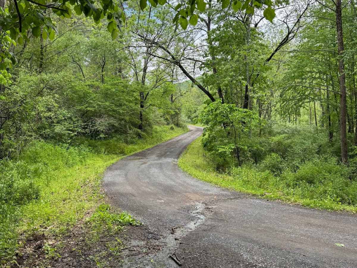 Hidden Valley Road photo 3