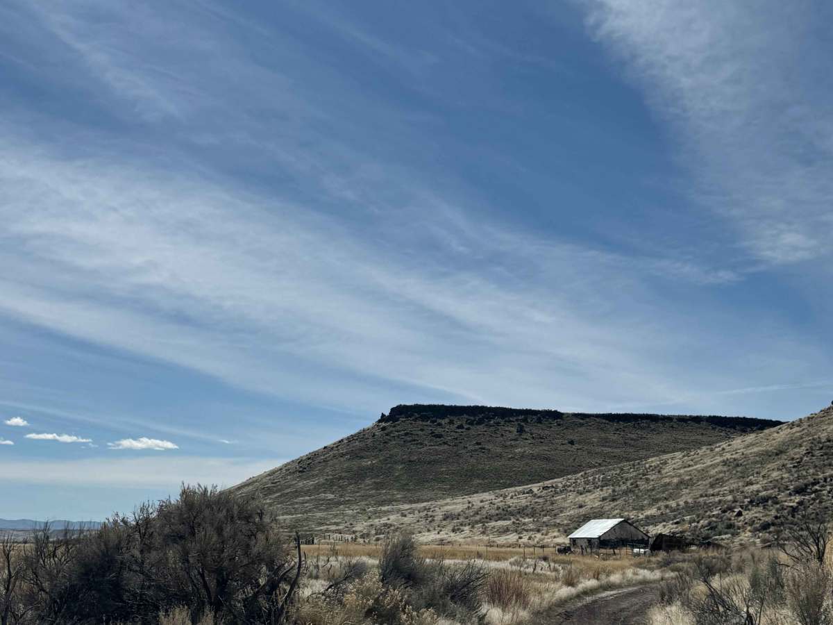 Desert Ranch and Reservoir trail photo
