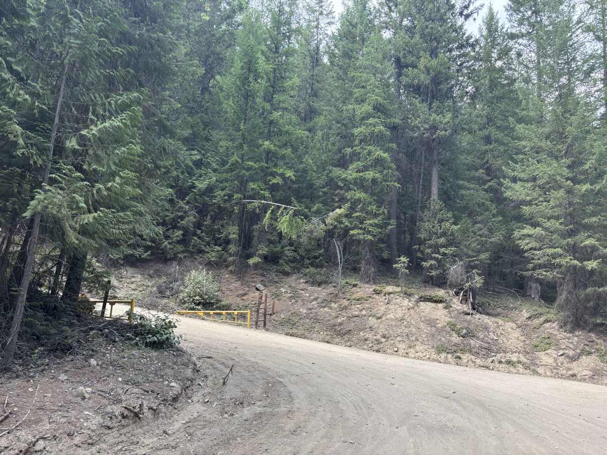 Conkle Lake photo 5