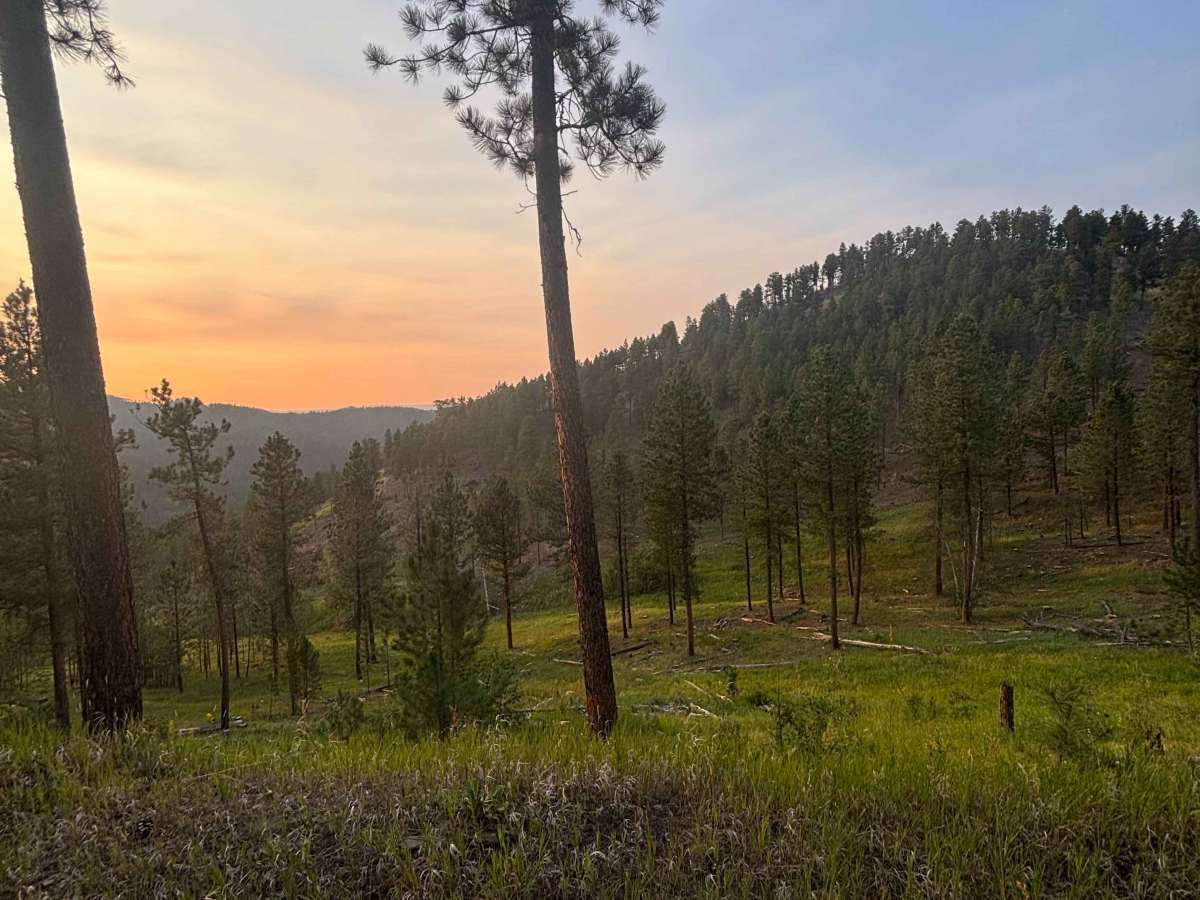 Nugget Gulch Lookouts - FS 6800 photo 2