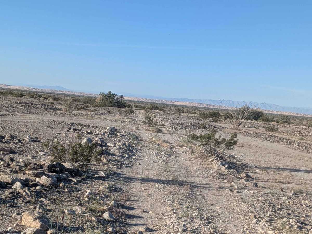 BLM 702 photo 3