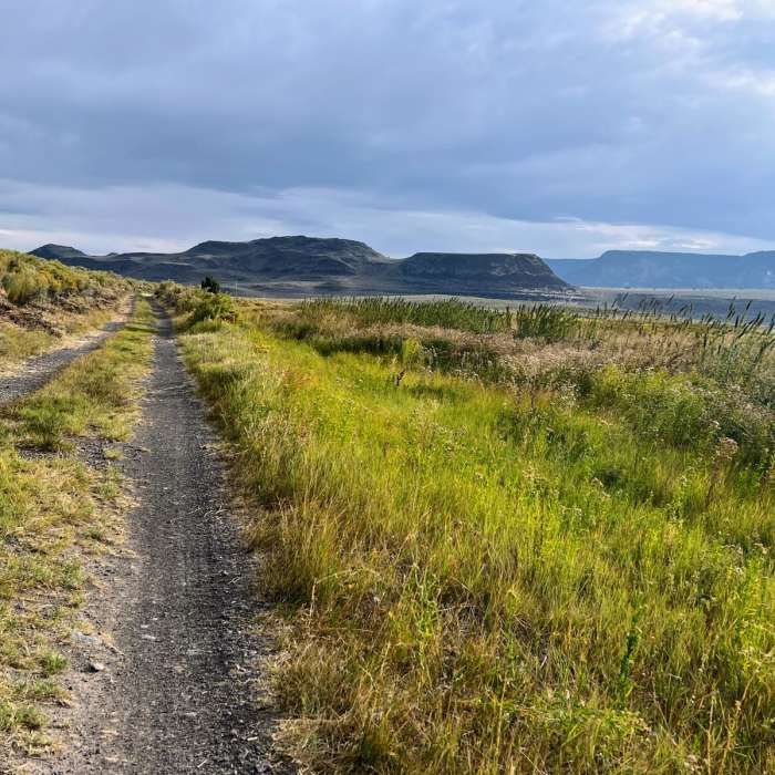 Near Hart Mountain Road to Post Meadows Campground