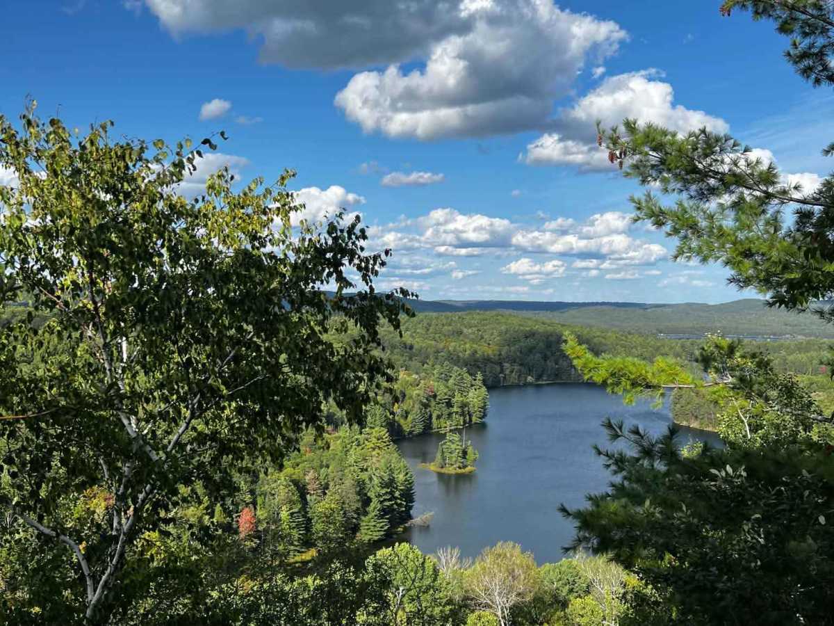 Tom's Scenic Lookout trail photo