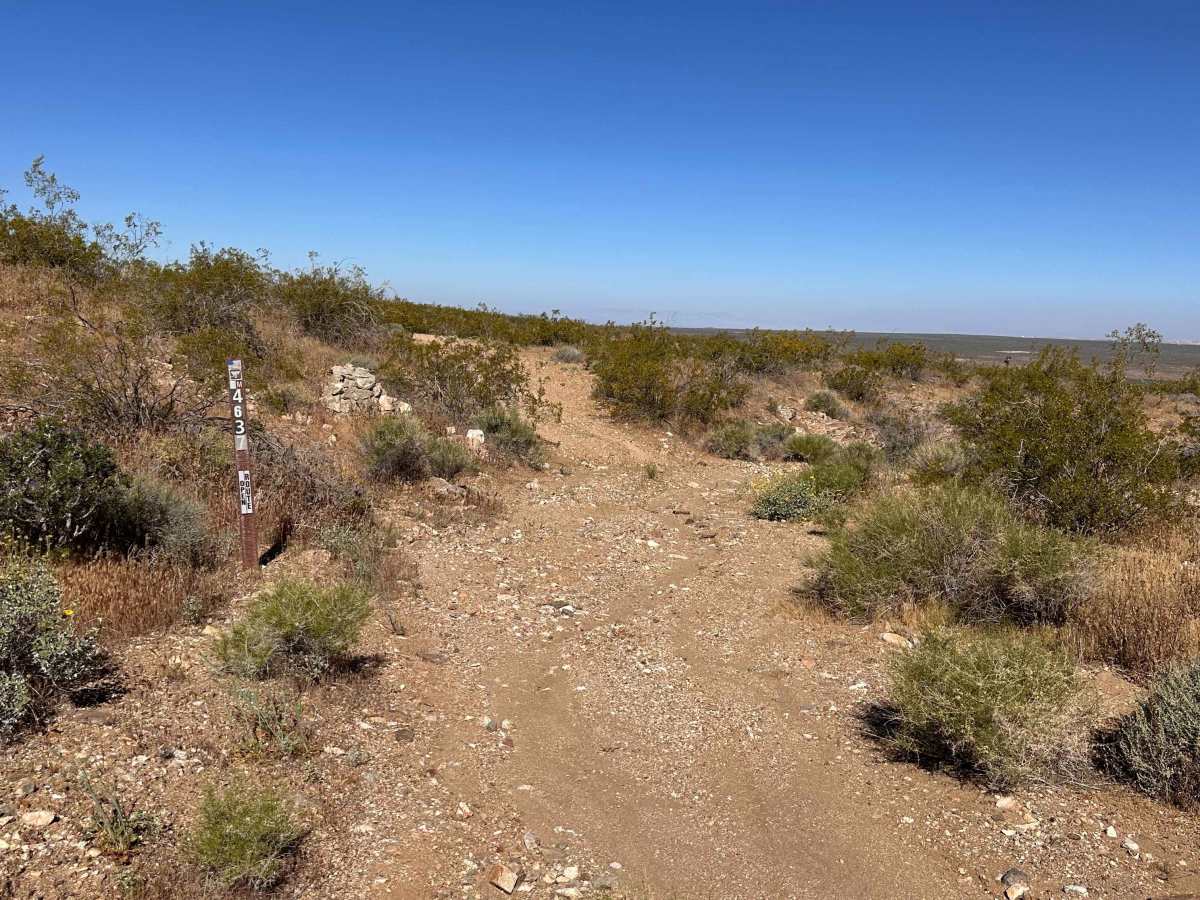 Rattlesnake Loop trail photo
