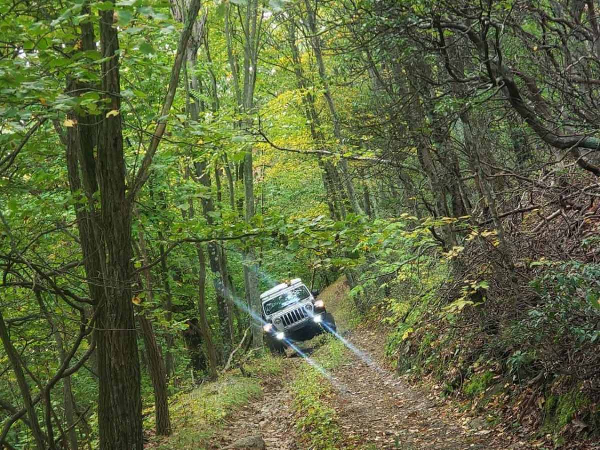 Coon Bridge trail photo