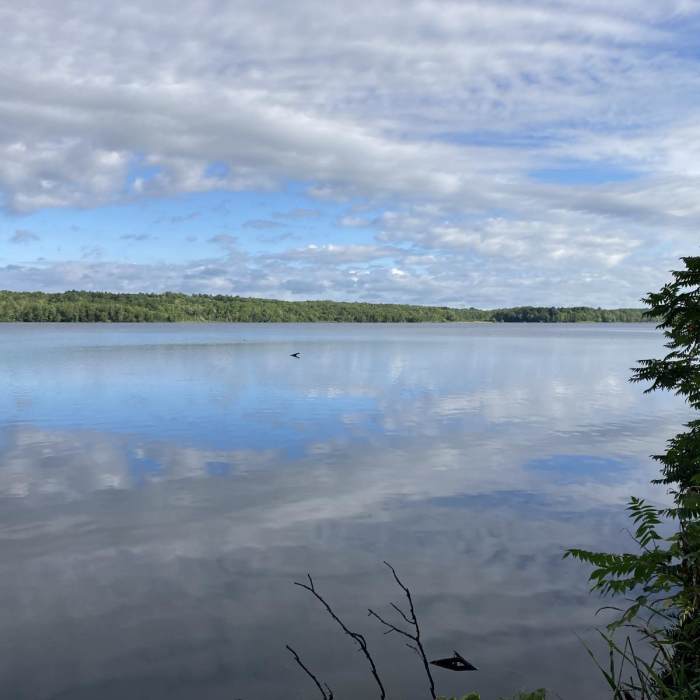 Near Old Abe State Trail