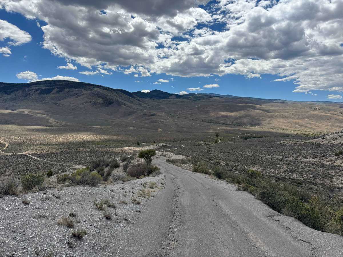 BLM 8532 photo 5