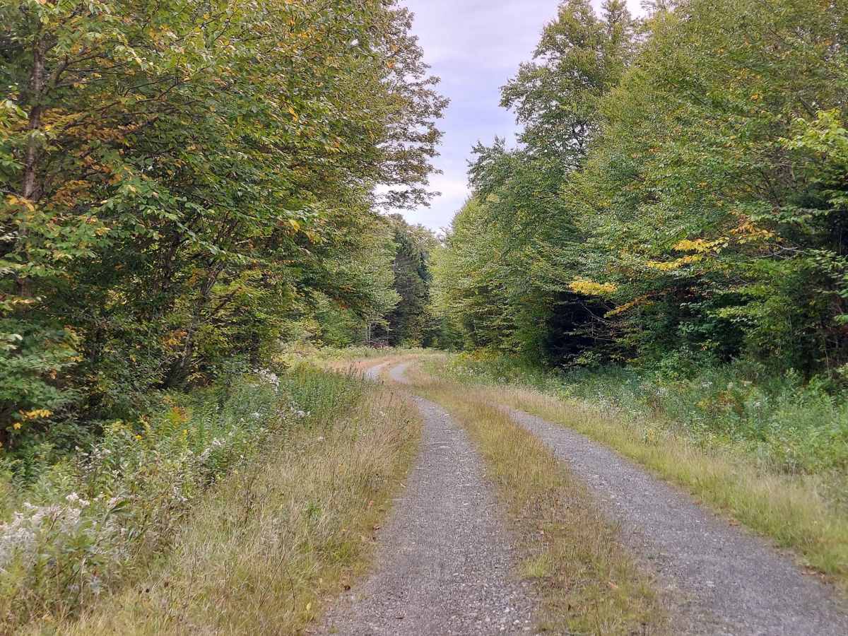 Schoppe Brook Road photo 5