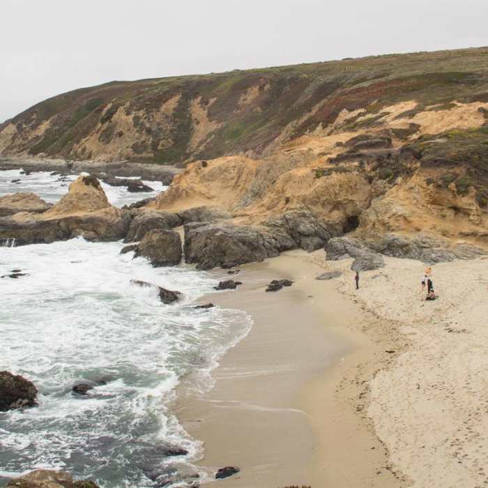 Near Bodega Head Nature Trail