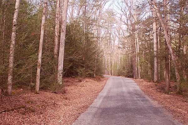 Stone Creek Road