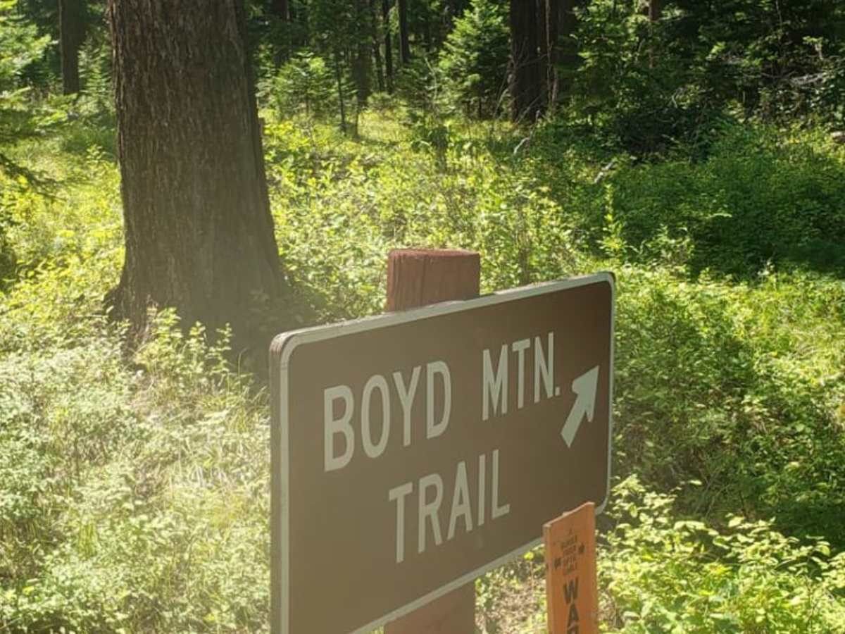 Boyd Mountain photo 4