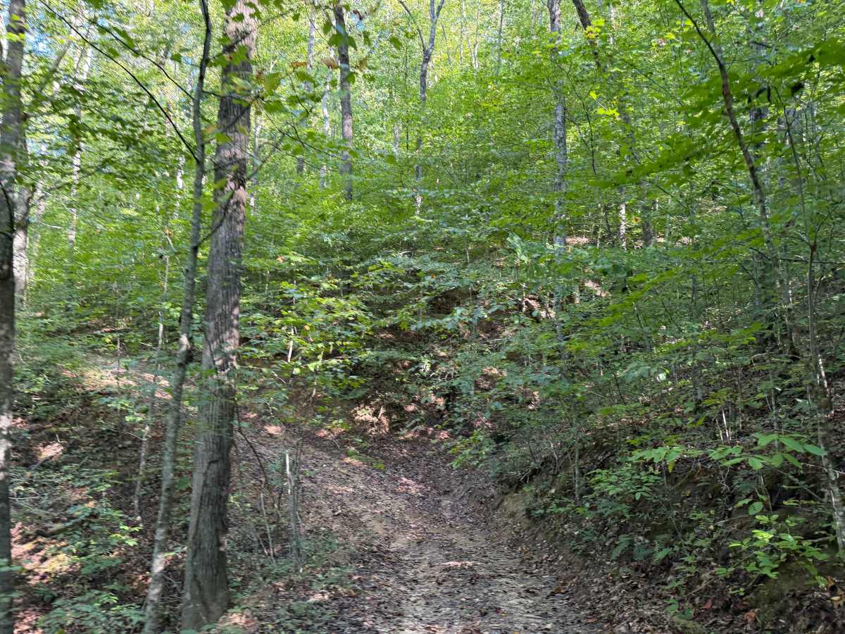 54 photo 2