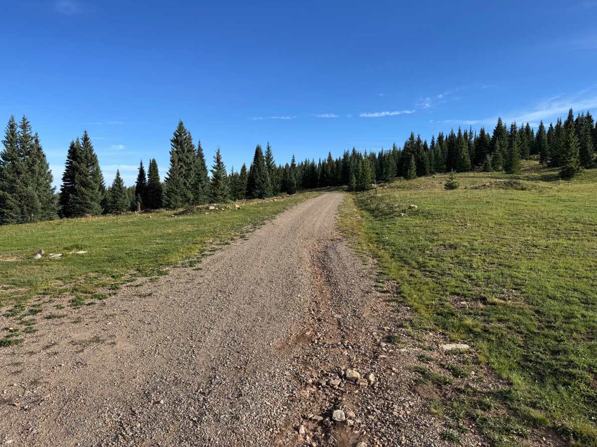 Pothole Road trail photo
