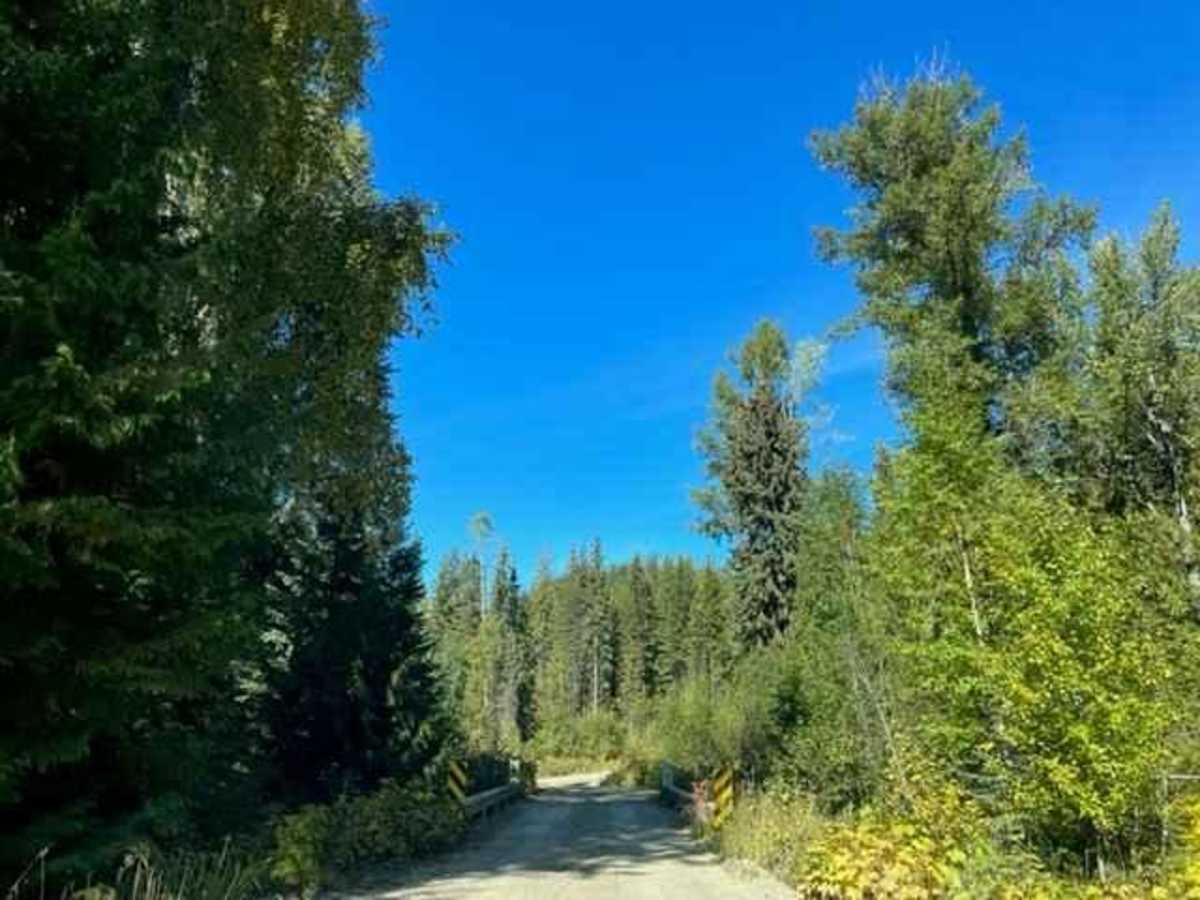 Barriere Lake Road photo 4