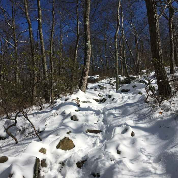 Uphill towards the AT. Near Rattlesnake Swamp - AT Loop