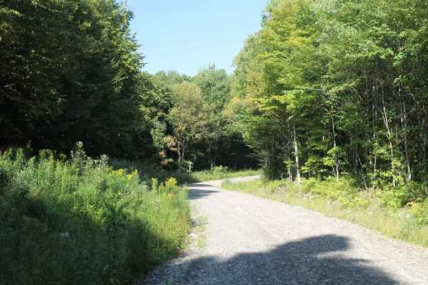 Beaman Hill Trail