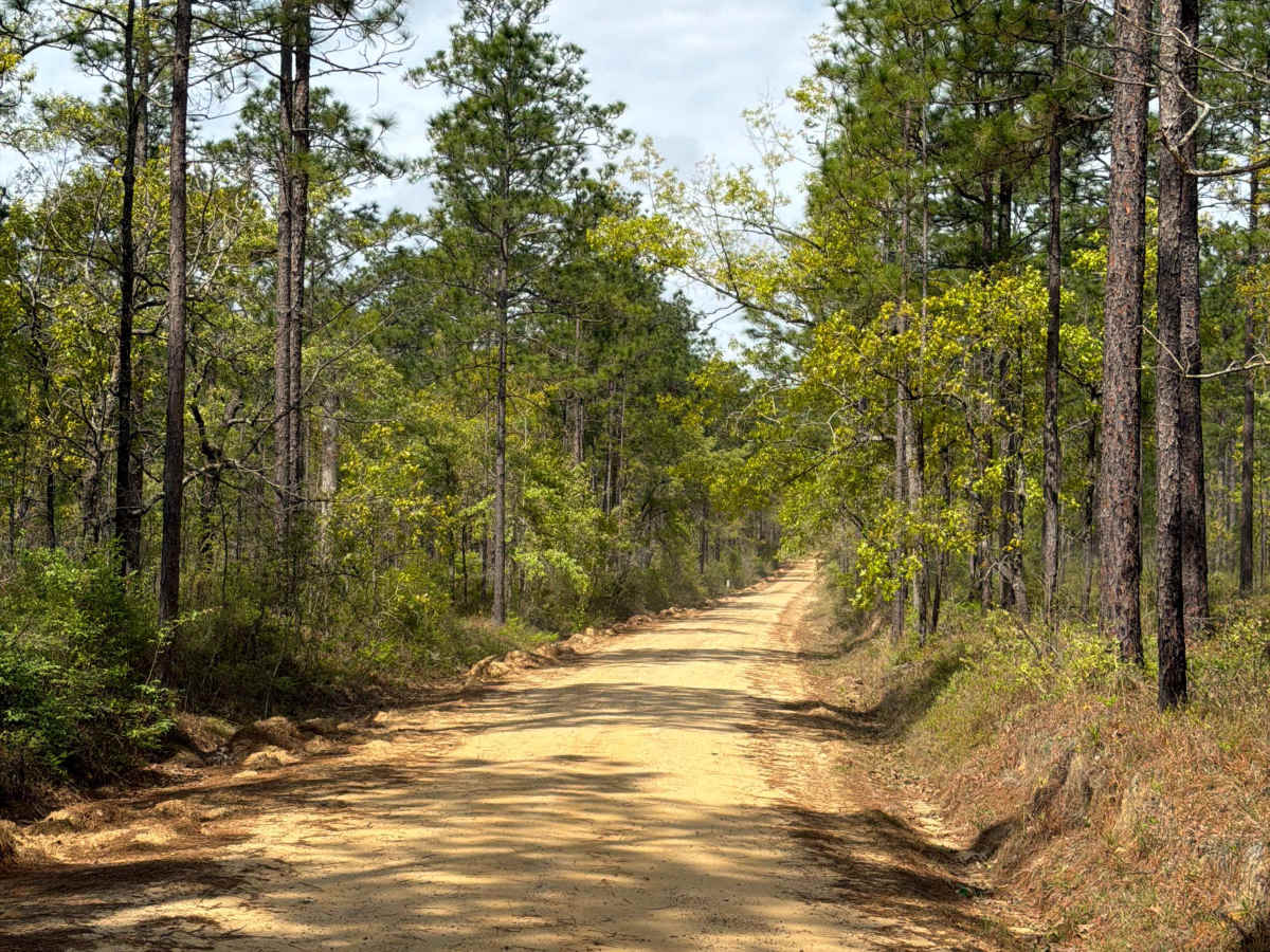 Carpenter Road photo 2