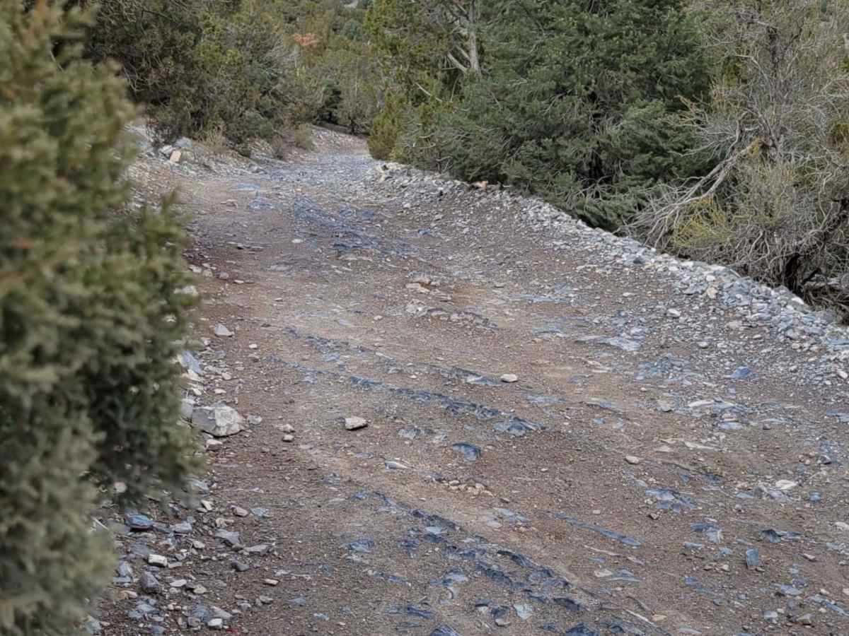 Rocky Road Trail photo 3
