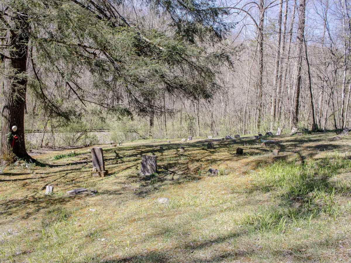 Titus Hollow Road photo 6