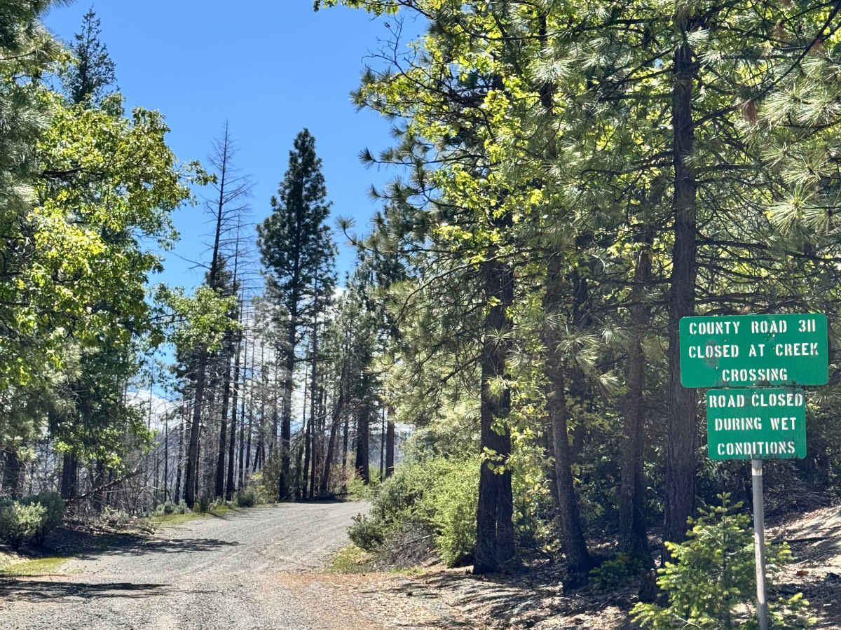 Road 311 trail photo