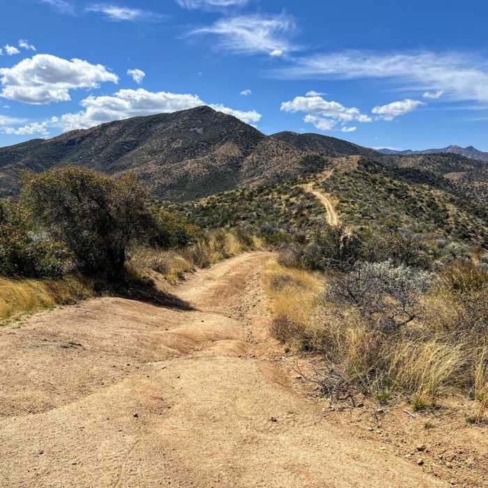 Near Oracle to American Flag