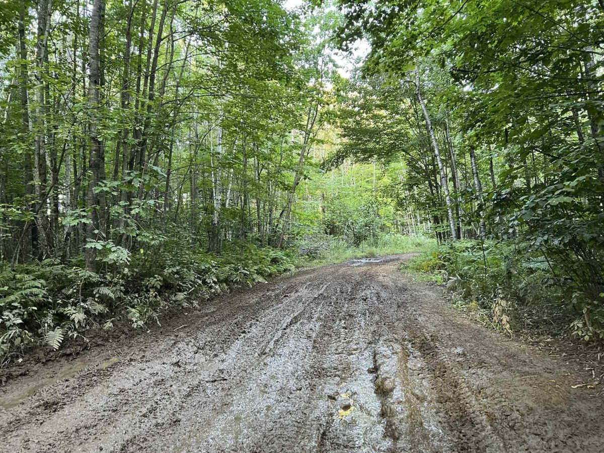 Forest County ATV/SXS 8 Mile Loop Trail 3 photo 3