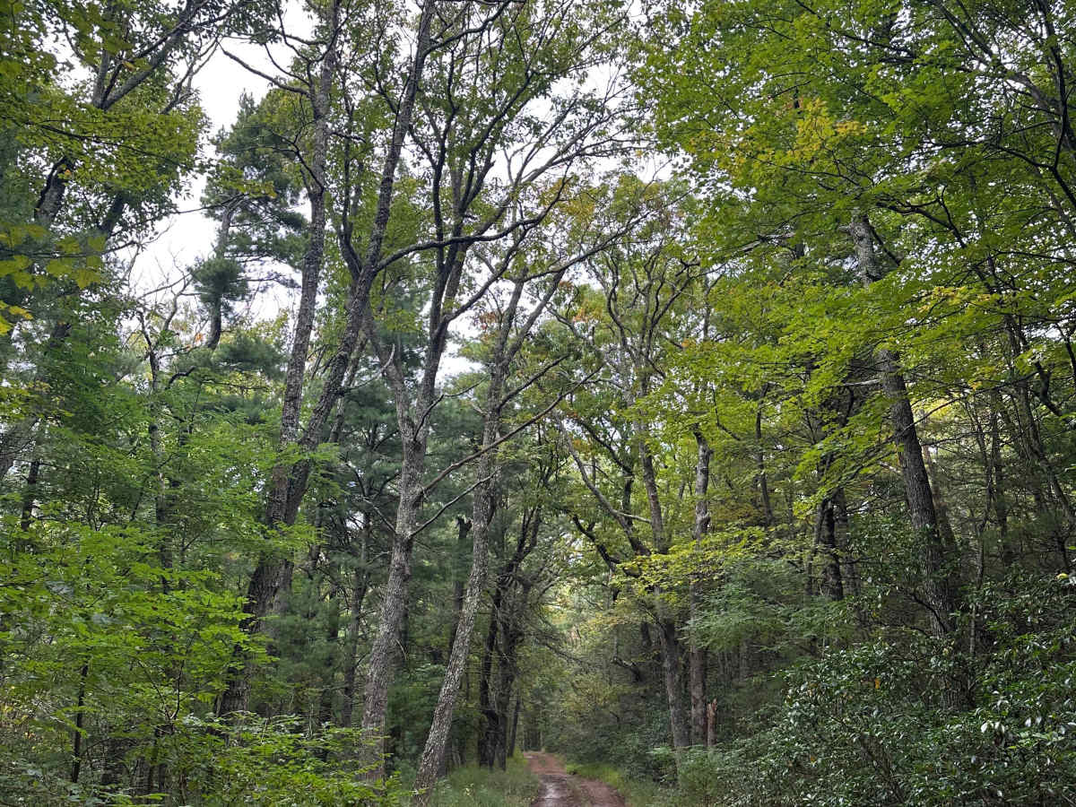 Cow Knob photo 3
