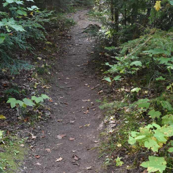 Near Hike to Yellow Dog Falls Near Hike to Yellow Dog Falls