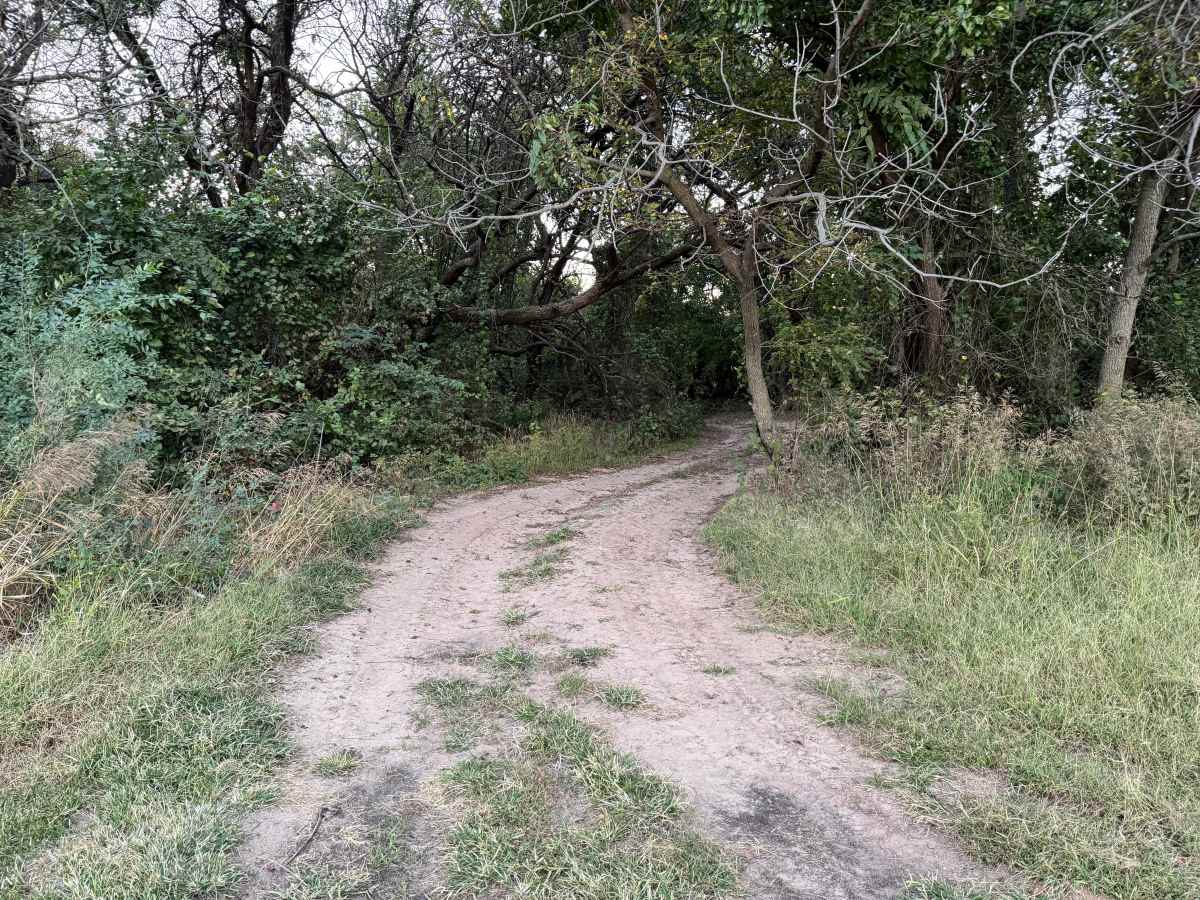 Vice Grip Valley trail photo