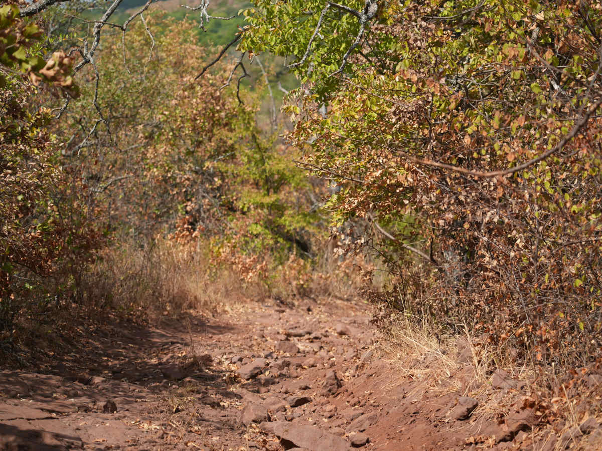 Dead Man's Slide trail photo