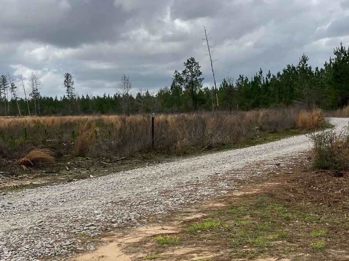 Gravel Landing photo 5