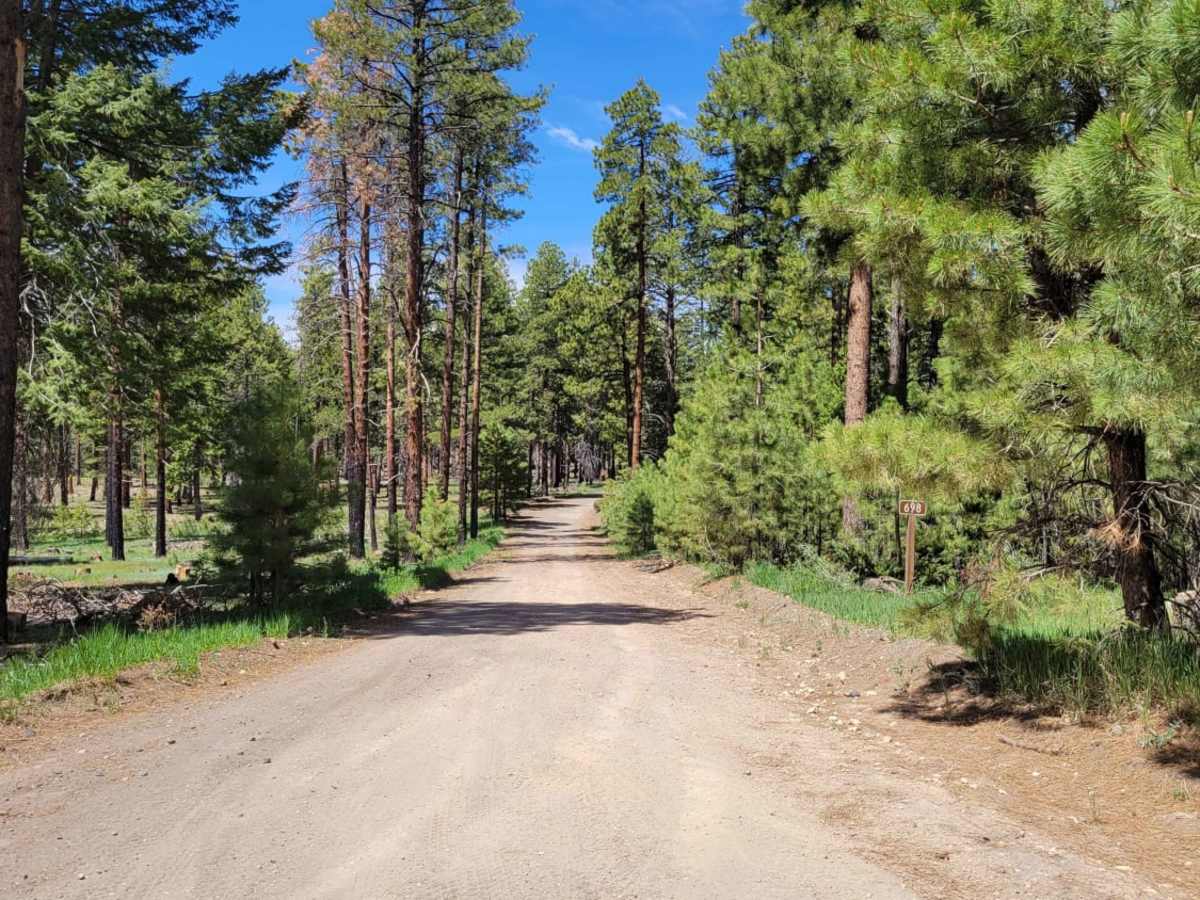 Billingsly Trail photo 5