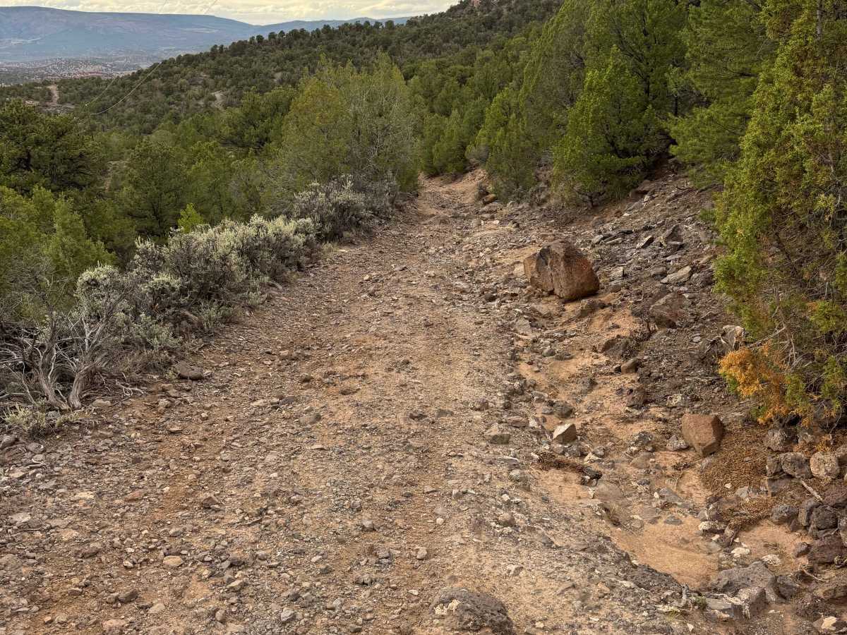 BLM 2722 photo 2