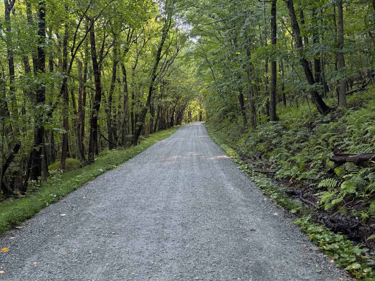 Bake Oven Knob photo 6