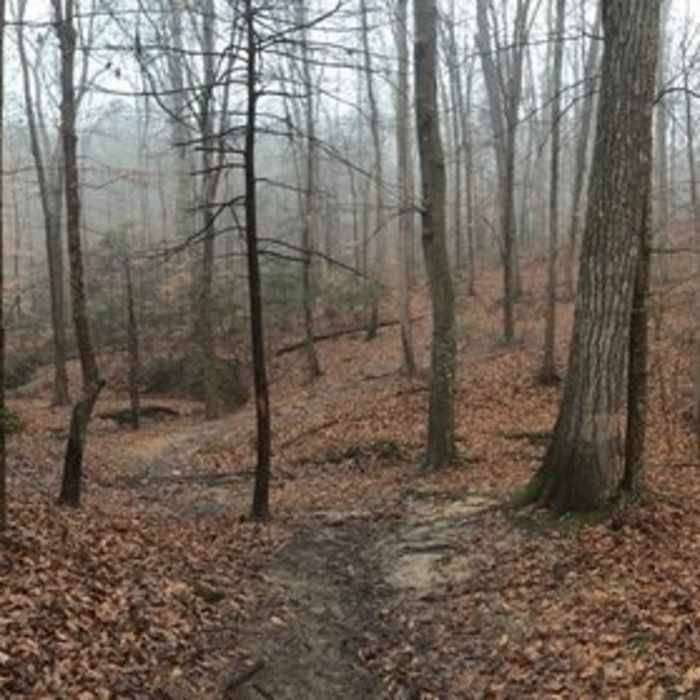 Near Bull Run-Occoquan Trail