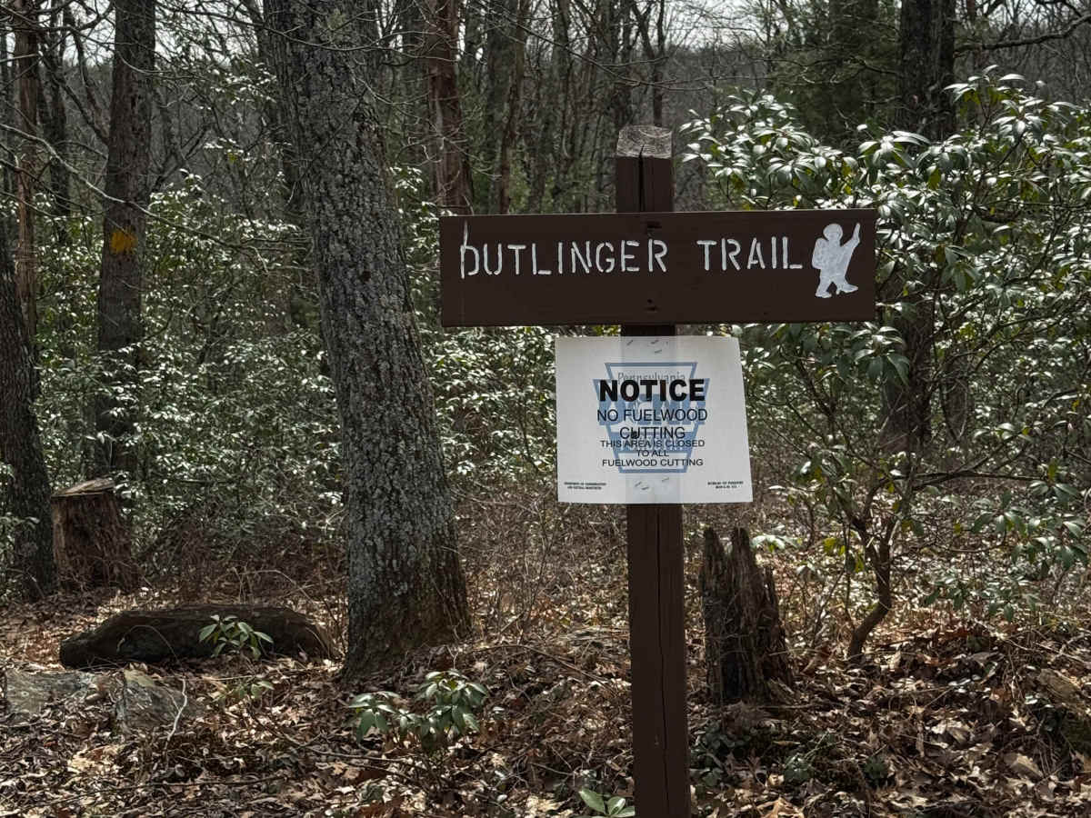 Dutlinger Trail trail photo