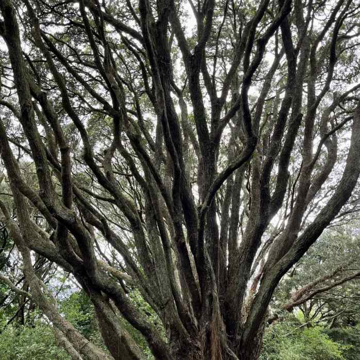 Near Centennial and Lovers Lane Loop Near Centennial and Lovers Lane Loop