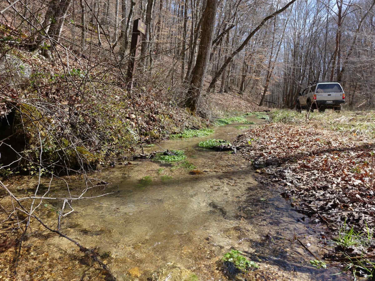 Big Loop & Big Springs trail photo