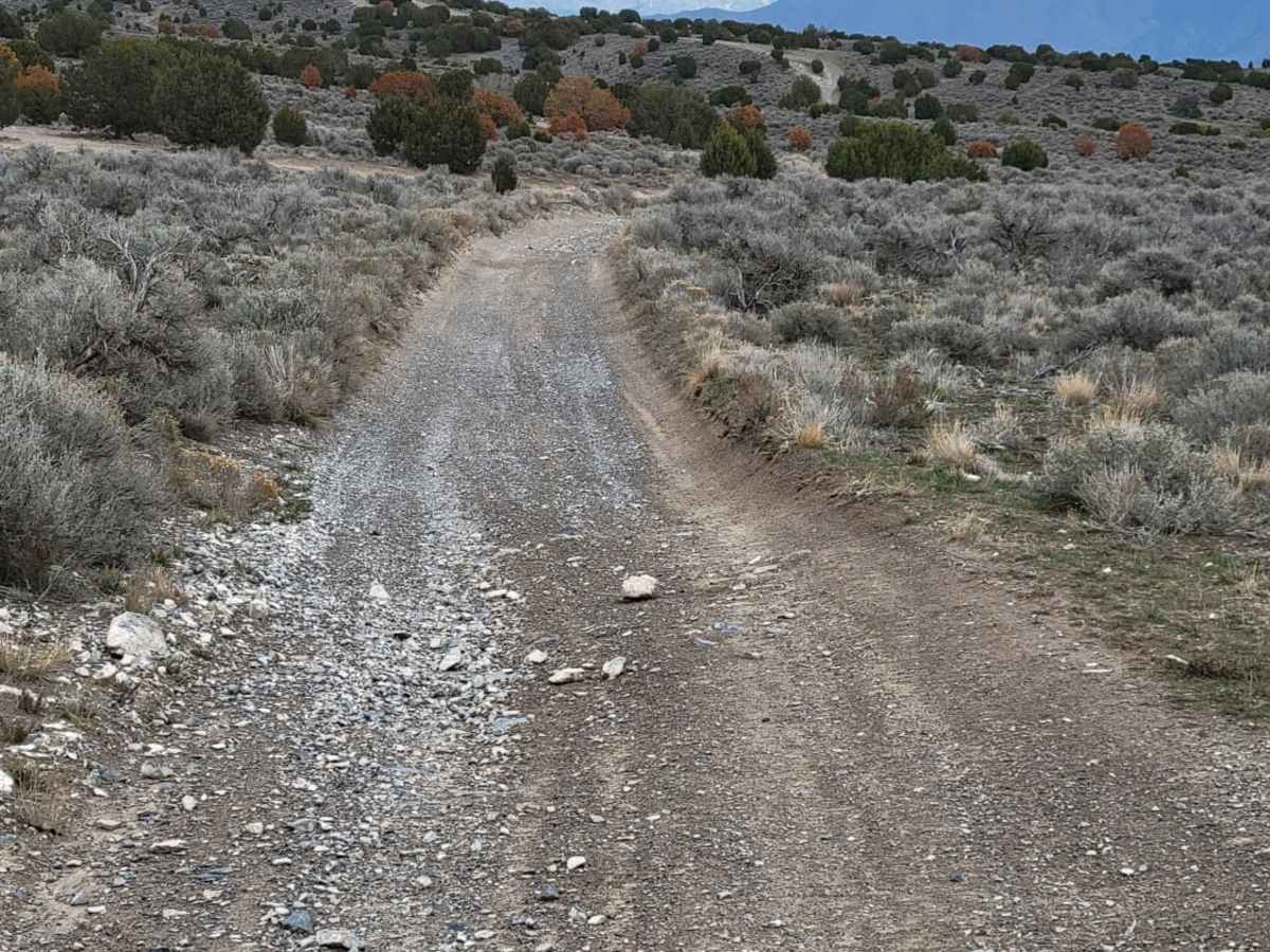 Juniper Lane trail photo