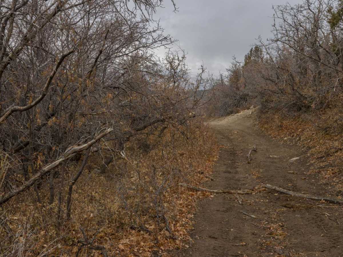 Catamount Trail photo 3