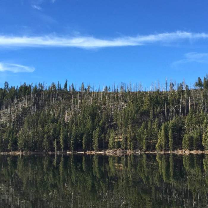 Near Suttle Lake Loop